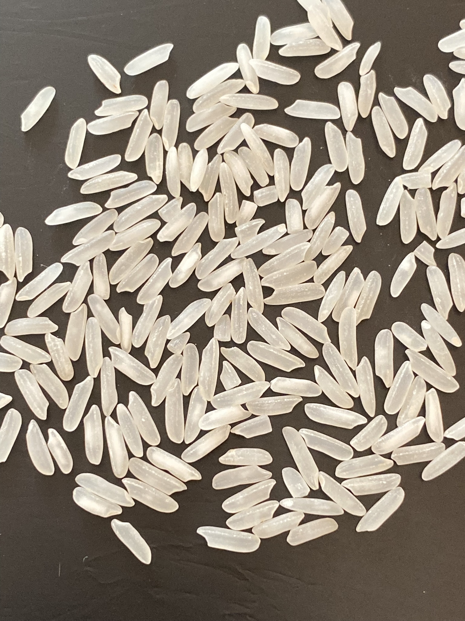 Rice Detection Object Detection Dataset by TestModel