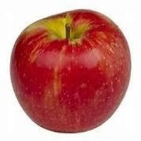 apple Object Detection Model by project-wenxc