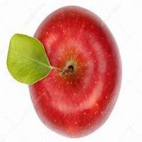 apple Object Detection Model by project-wenxc
