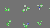 Annotation Visualization