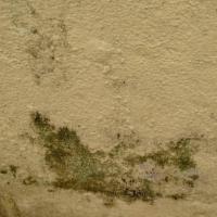 walls project thumbnail
