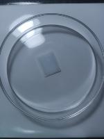 Albumin_Strips_V1 project thumbnail