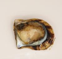 meat_extraction project thumbnail