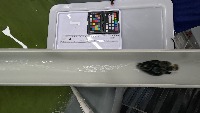 Fish_seg project thumbnail