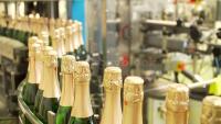 Champagne Bottles with Red Mark project thumbnail