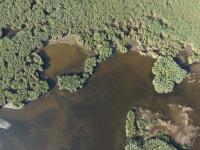 Salt Marsh project thumbnail