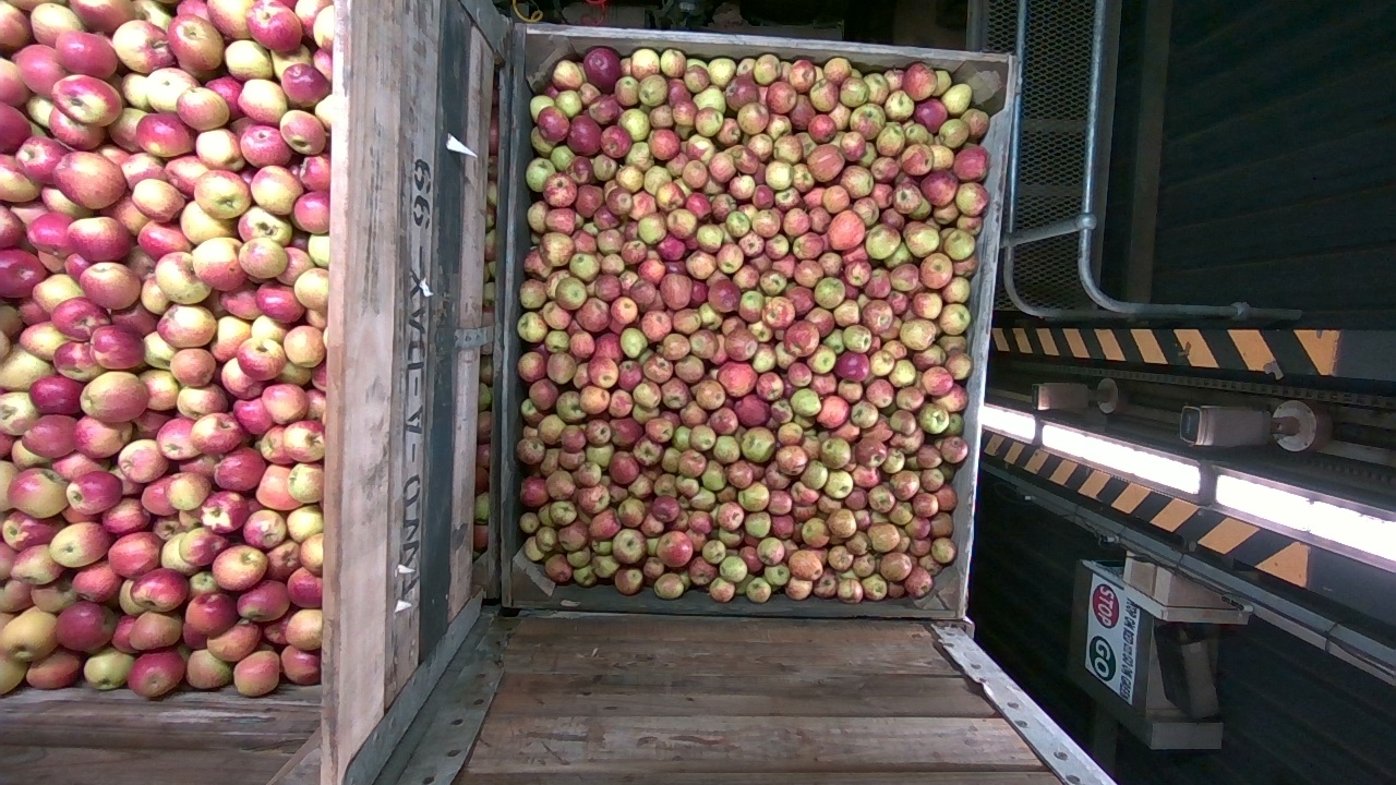 Apple Segmentation Specific Instance Segmentation Dataset By Crate Tracker Apple Segmentation Specific Instance Segmentation Dataset By Crate Tracker