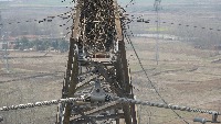 nest200 project thumbnail