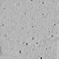 Cell project thumbnail