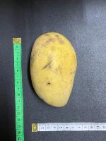 Carabao Mango Size project thumbnail