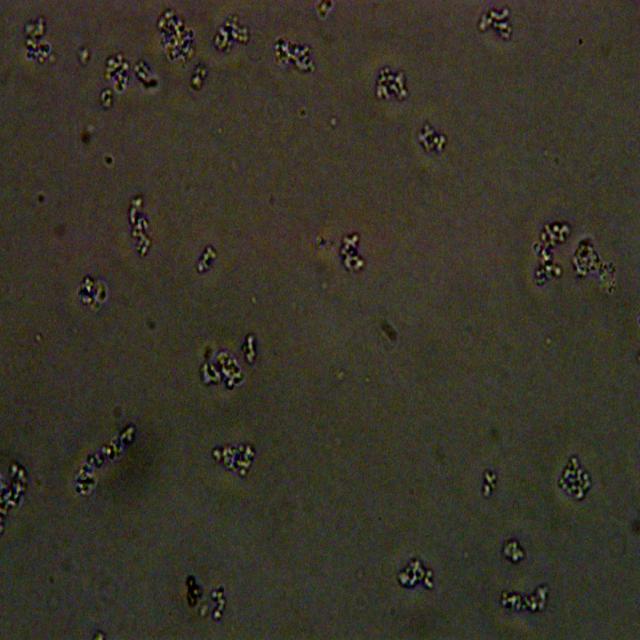 Cells model Object Detection Dataset by Sa