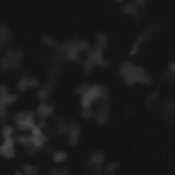 iPak4Tracking project thumbnail
