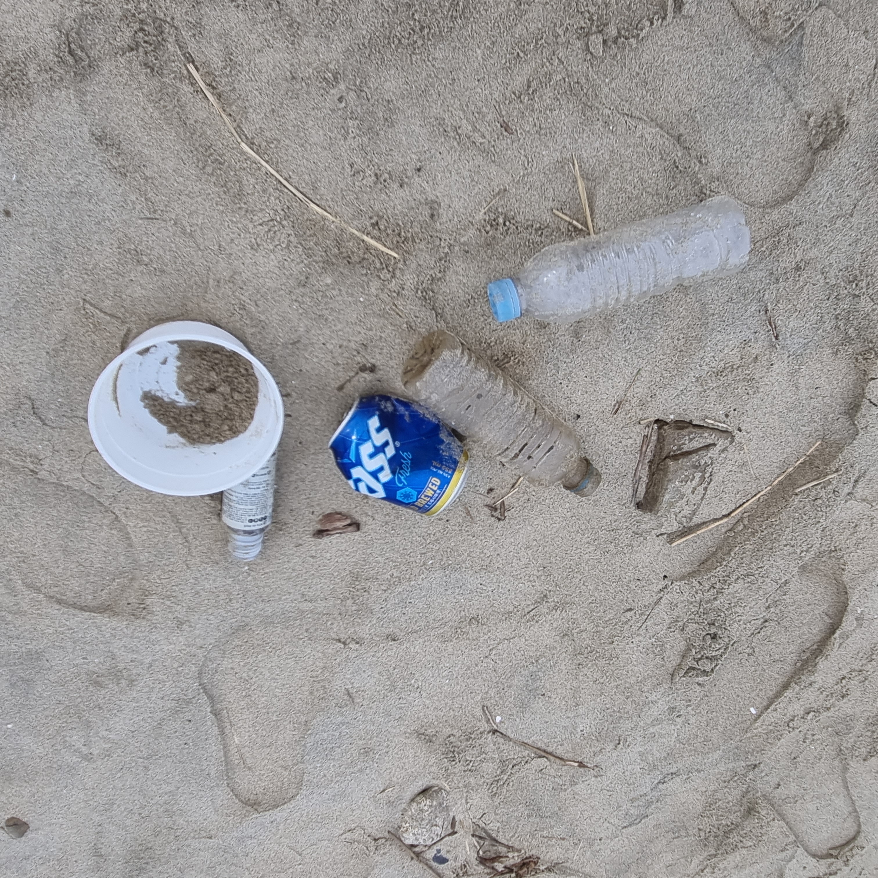 Object For Liter litter Object Detection Dataset by myfyp