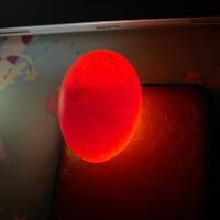 egg rotten good project thumbnail