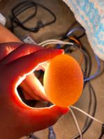 egg project thumbnail