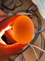 Egg Crack Detection project thumbnail