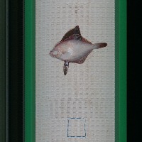 new_fish_v5 project thumbnail