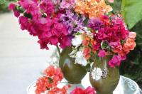 Malaysian Flower Detection project thumbnail
