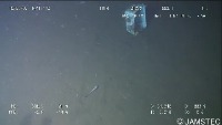 underwater trash detection project thumbnail