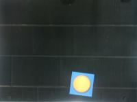 My First Project project thumbnail