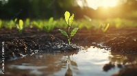 soil detection project thumbnail