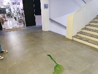 Dataset Image