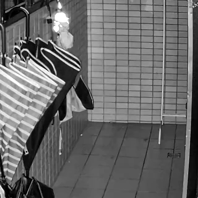 rat Object Detection Dataset by playground