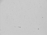 empty project thumbnail