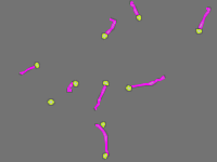 Annotation Visualization