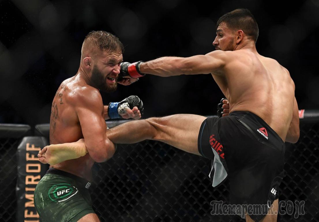 ufc_strikes Object Detection Dataset by Daniel Raithel