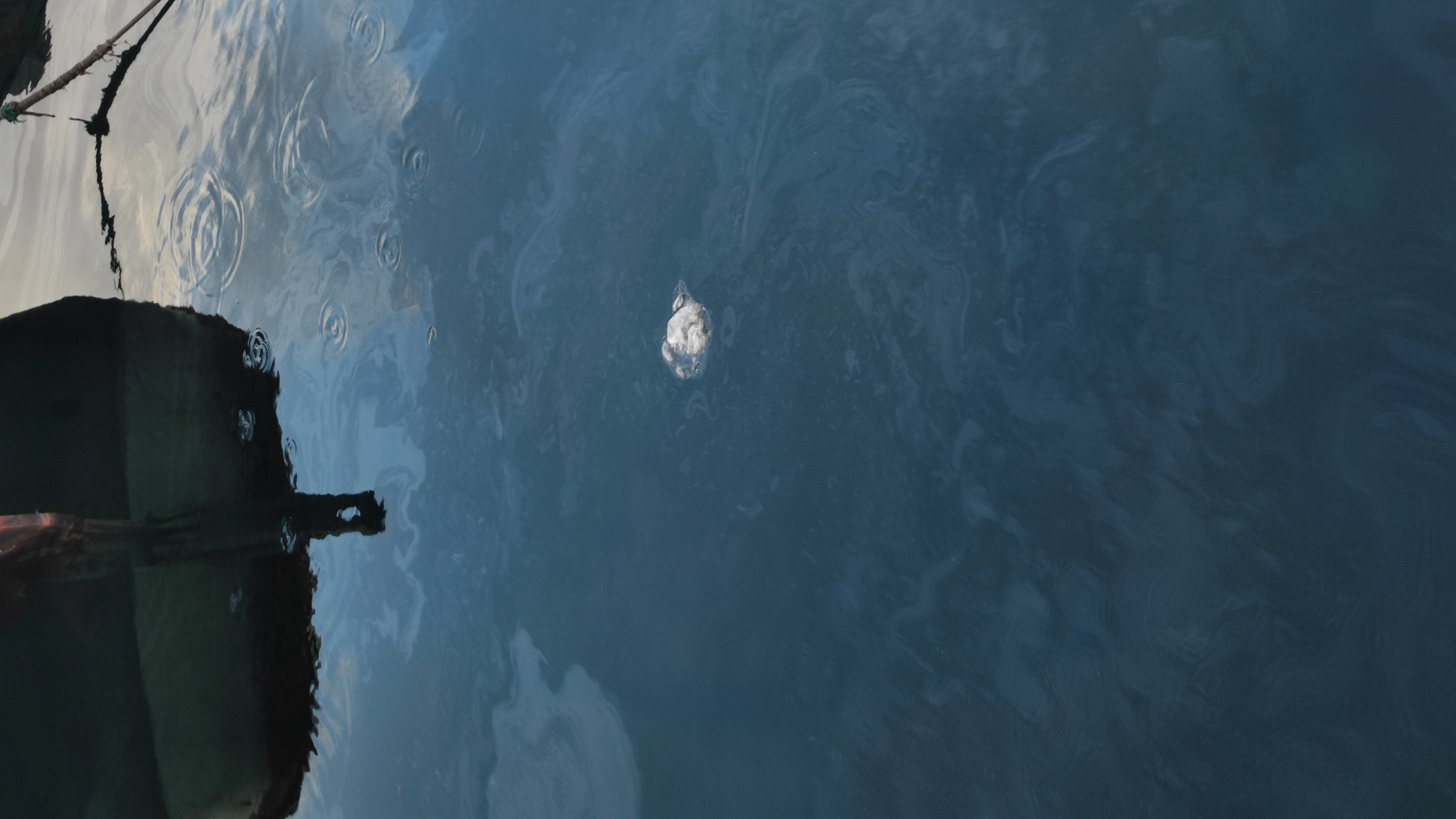 How to Use the Ocean Waste Detection Object Detection API