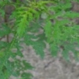 first Object Detection Dataset by firsttry