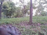harvedex project thumbnail