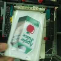 Dataset Image