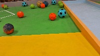 Dataset Image