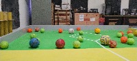 Dataset Image