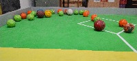 Dataset Image