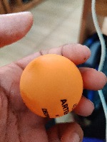 Ping Pong Finder Object Detection Model by Ping Pong robot