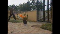 dg project thumbnail