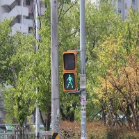 traffic light project thumbnail