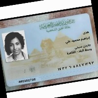 egyptian-id-seg Instance Segmentation Model by fsococ