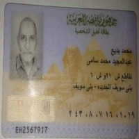egyptian-id-seg Instance Segmentation Model by fsococ
