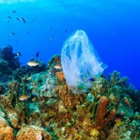 River_garbage project thumbnail