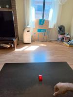 Duplo Fish Detection project thumbnail