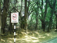 No_Honking project thumbnail