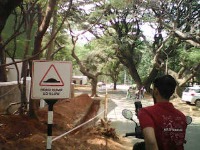 RoadHump project thumbnail