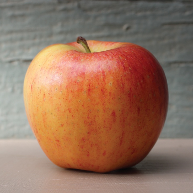 Apple Model Check apple Object Detection Model (v1, 2026-09-23 9:59pm) by Haruthais Workspace