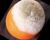 KI PROJEKT project thumbnail