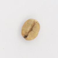 bean project thumbnail