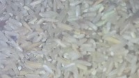 ingredient_silo19022026 project thumbnail